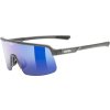 uvex bryle dyrt smoke matt mir blue s5330955514 ien554520