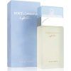 dolce gabbana light blue edt 100ml ien357160