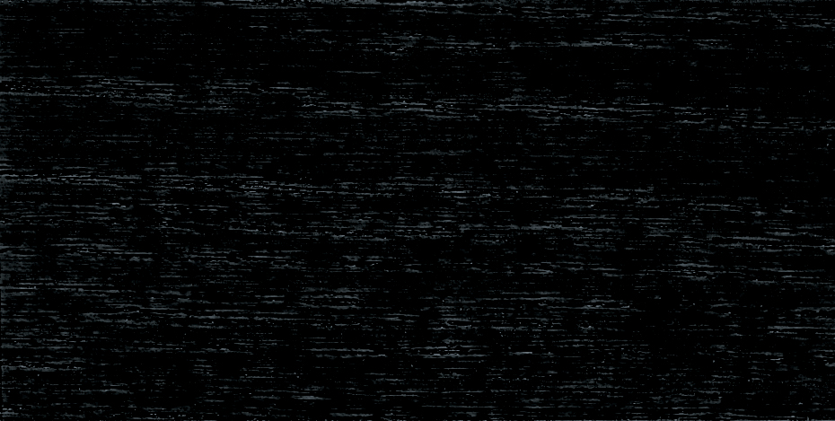 9995_ebenove_drevo_hb12