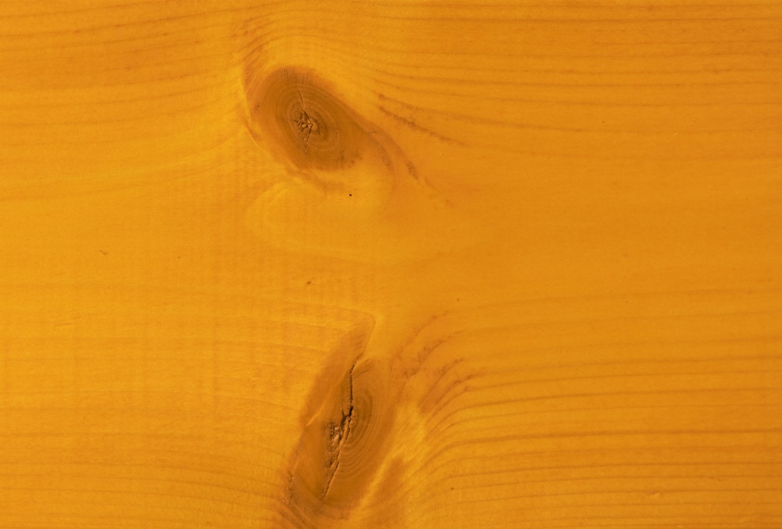 2335_pinie_-_borovice_hb12