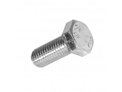 DT Screw M12x30