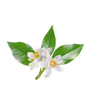 Neroli