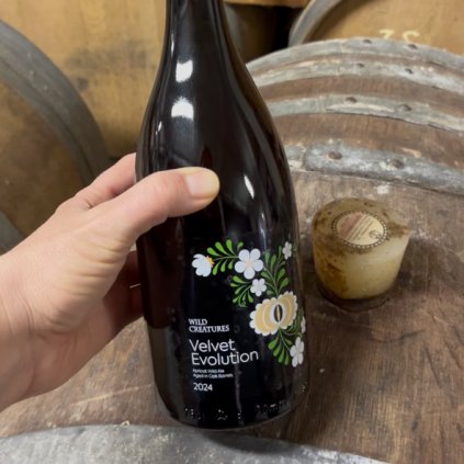 Velvet Evolution (2024)