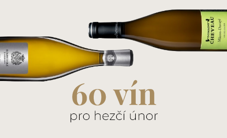 únorová kampaň - 1