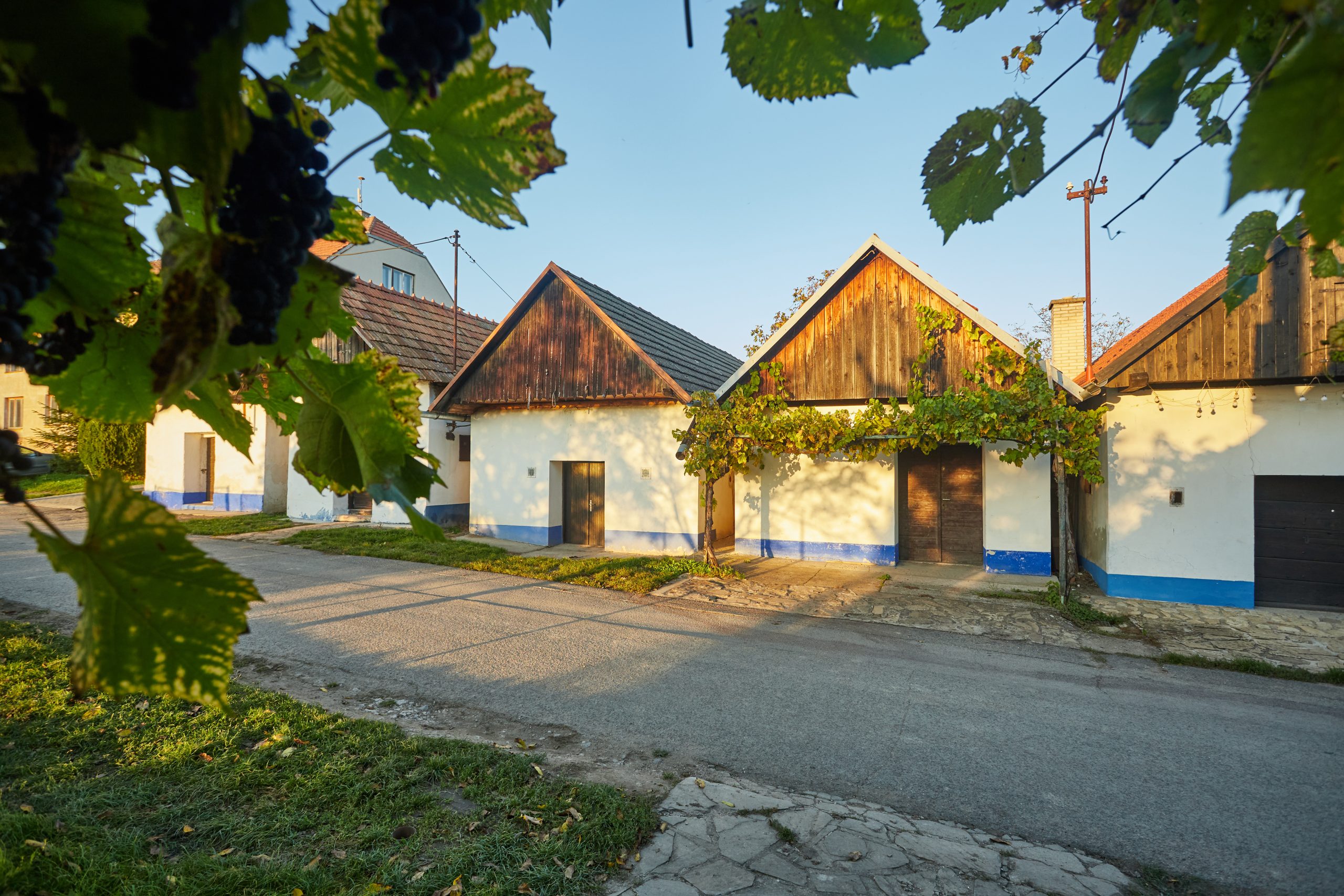 Víno Masařík