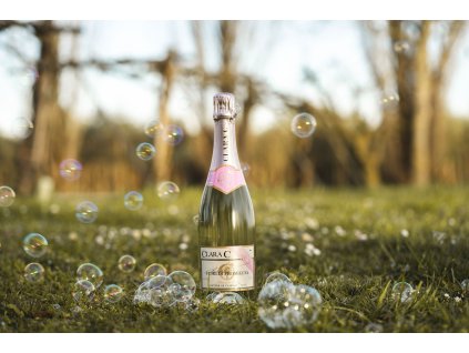 cantina clara c aziendadsc1566