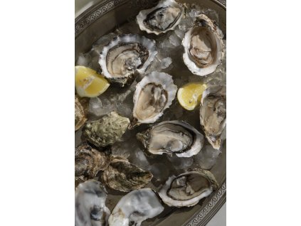 view dish made oyster delicacies