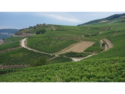 997 ruedesheimer bischofsberg