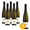 5+1  Grüner Veltliner DAC Kremstal Stratzing 2022 Weingut Schmid 6 x 0,75l