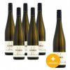 WG balicky 5+1 8 schmid riesling