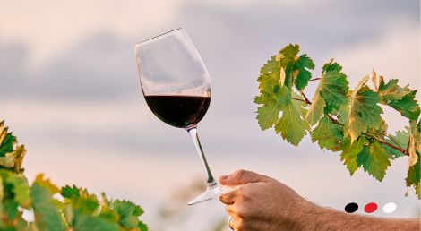 Mezinárodní den Pinot Noir