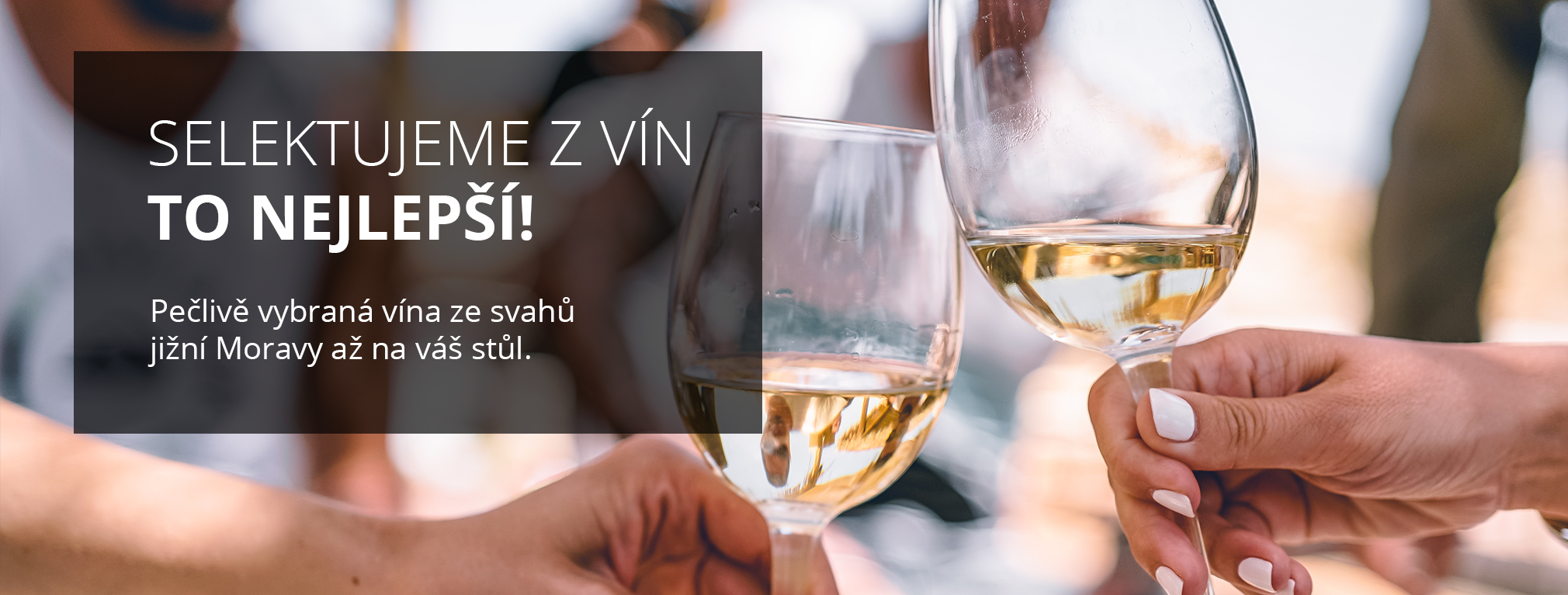 Selektujeme z vín to nejlepší!