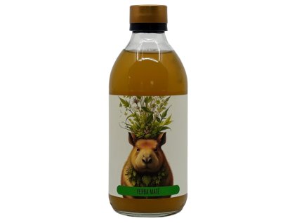 Božská Kombucha - yerba maté