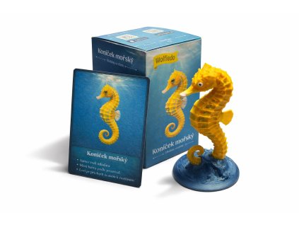 FCF8C1CD 958F 4235 B826 D45CCAC237F4