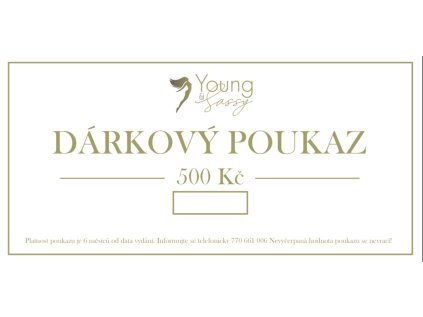 DÁRKOVÝ POUKAZ 500