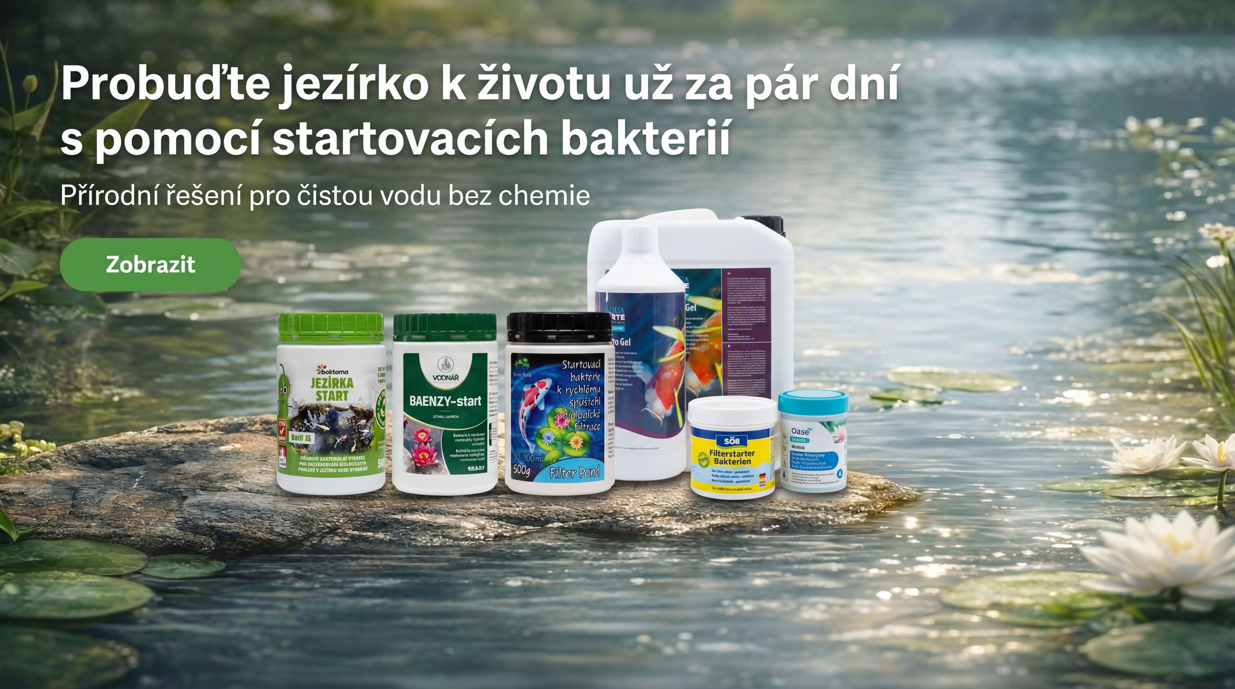 Startovací bakterie