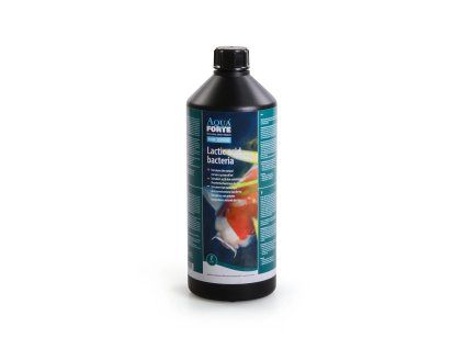 Lactic acid bacteria 1 l