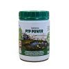 PTP POWER