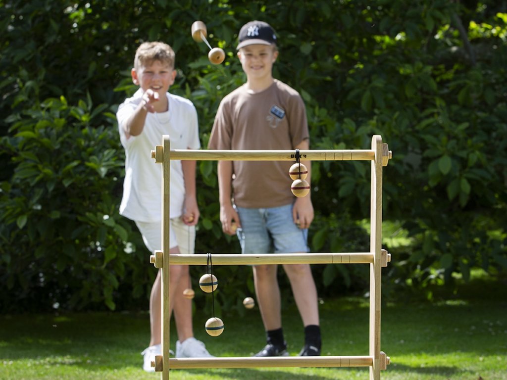 Spin Ladder