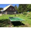 Stolní tenis