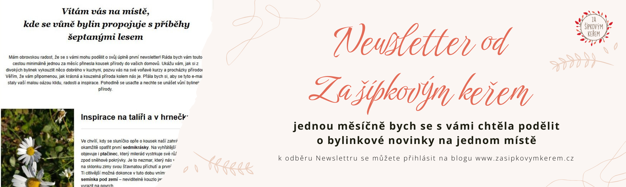Newsletter - bylinkové novinky