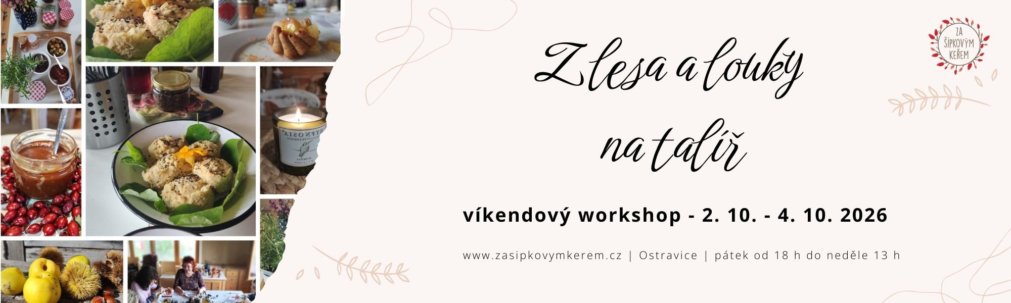 Z lesa a louky na talíř