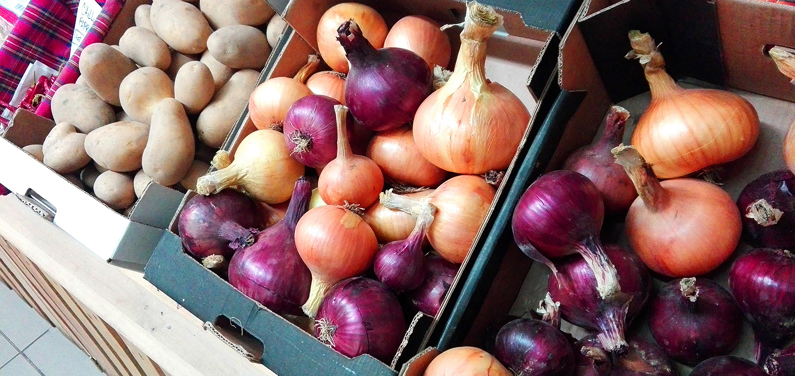 cibule a brambory ze statku