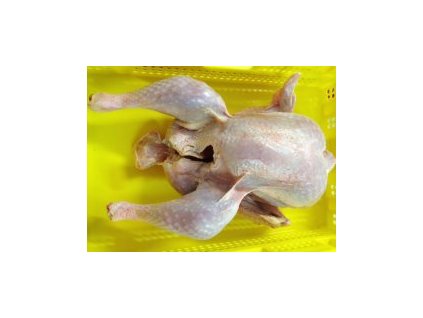 kruta