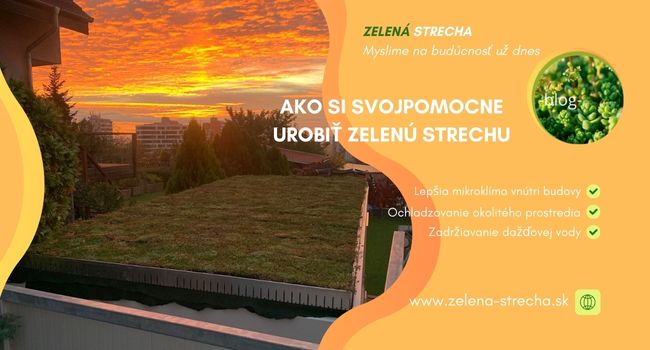 Ako urobiť zelenú strechu svojpomocne?