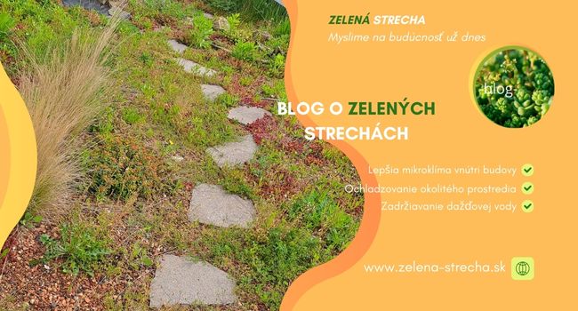Blog o zelených strechách, články, rozhovory, médiá.