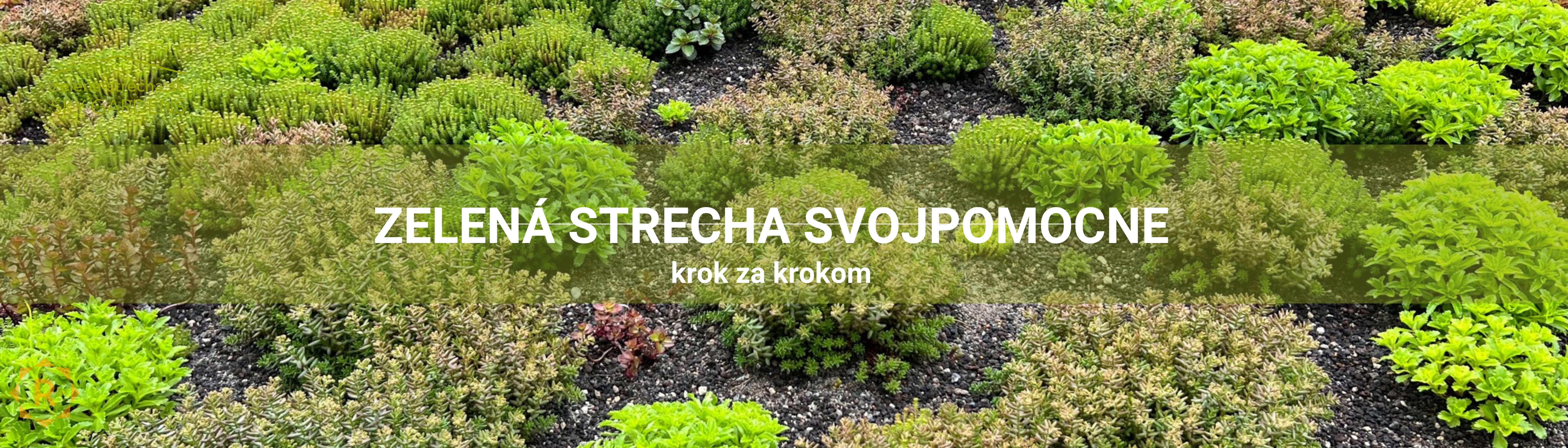 Ako si urobiť svojpomocne zelenú strechu