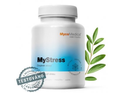mystress detail s razitkem kopie.2511086357