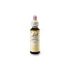 Bach® Cerato  20ml