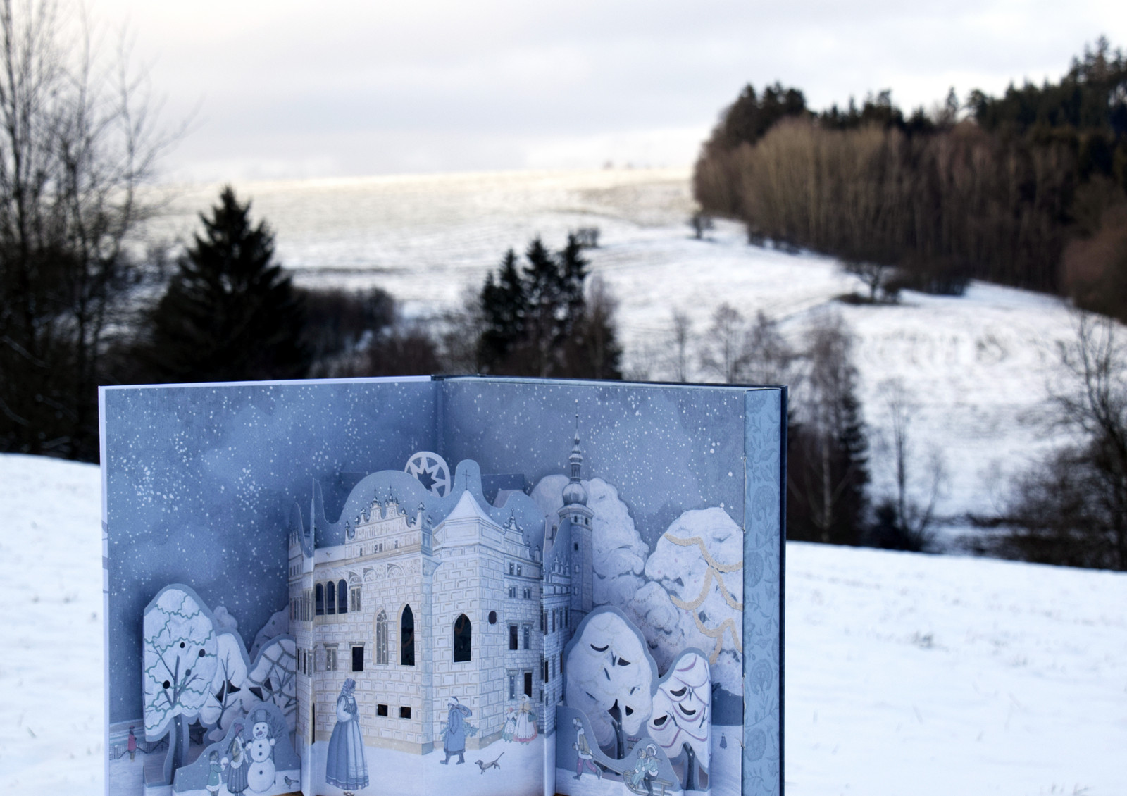 Litomyšlská škatulka