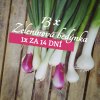 Zeleninová bedýnka 1x za 14 dní