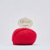 DK 564 GERBERA 26680