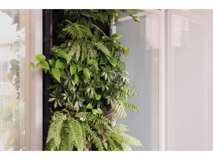 PLANTBOX eshop2 (1)
