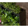 PlantBox® | 10 modulů živé stěny