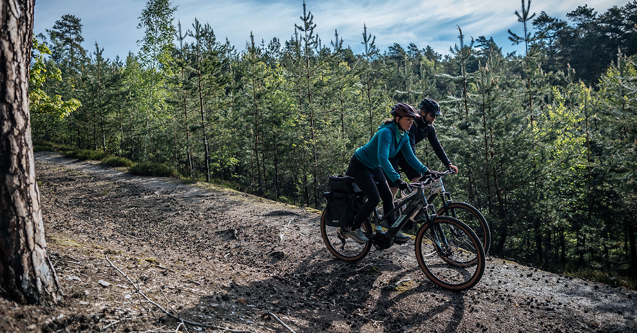 Elektrobicykle na lesnej ceste