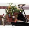 72942 2 basil kosik na bicykel milk bottle
