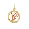 Zlatý přívěsek znamení Rak kulatý  gravírovaný