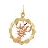 3481 1 zlaty privesek znameni rak kulaty gravirovany