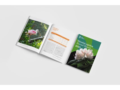 vyrocni zprava kopie