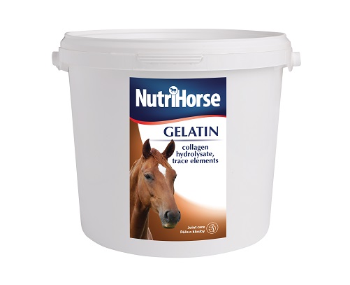 NutriHorse GELATIN Kilogramy: 3