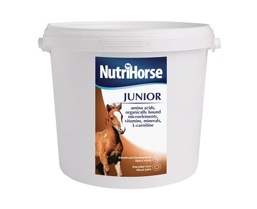 NutriHorse JUNIOR Kilogramy: 1