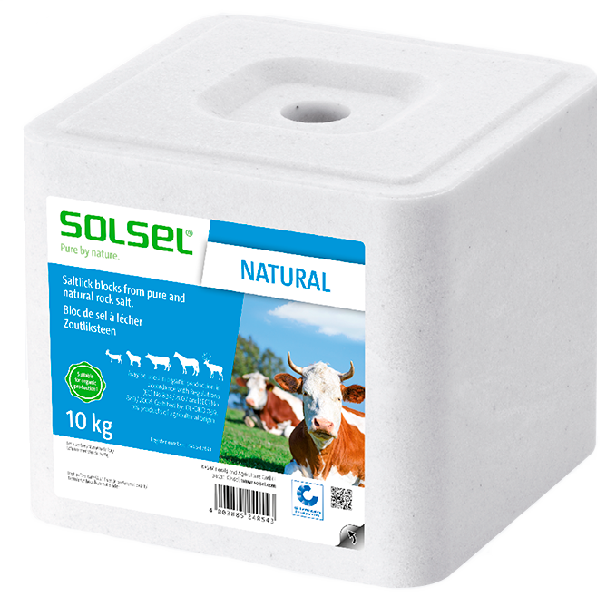 Solný liz Solsel NATURAL - 10 kg