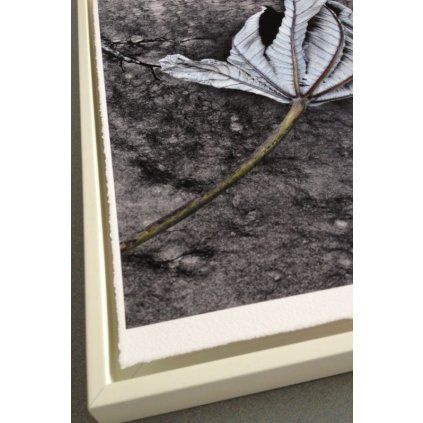 A2/25 William Turner 310 Deckle Edge Hahnemühle