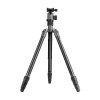 Fotopro X-go Chameleon tripod with FPH-52Q ball head - gray