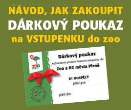 Návod na nákup dárkového poukazu