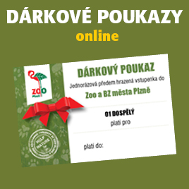 Nákup dárkového poukazu online